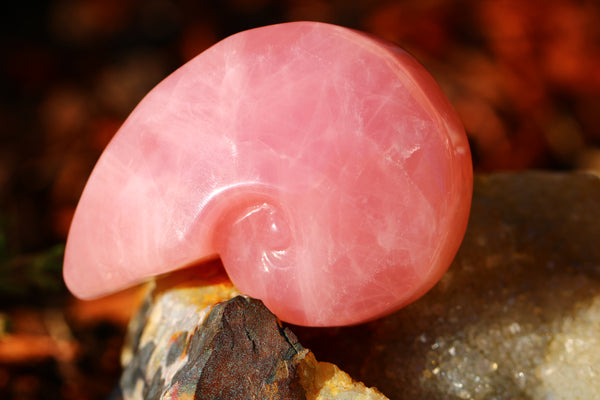 Rose Quartz Seashell