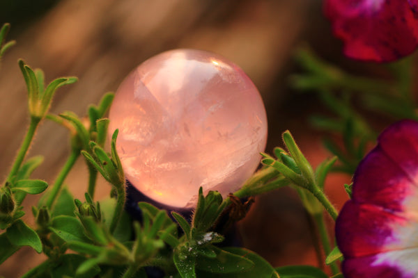 Rose Quartz