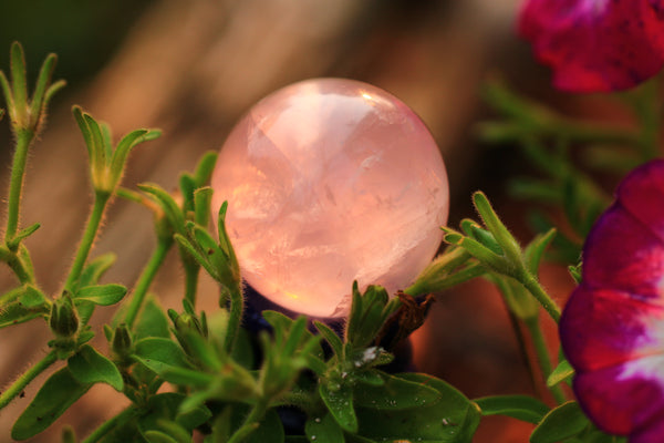 Rose Quartz