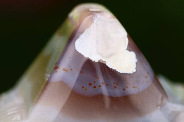 Flower Agate