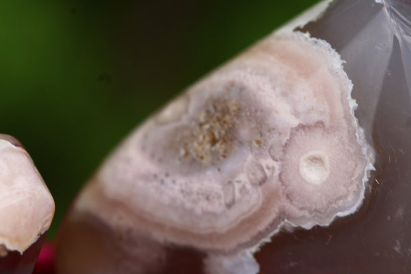 Flower Agate