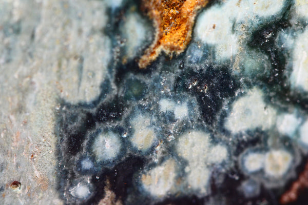 Ocean Jasper