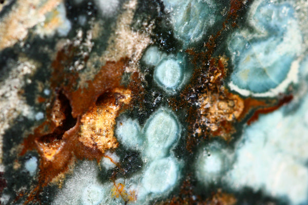 Ocean Jasper