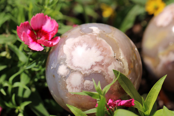 Flower Agate