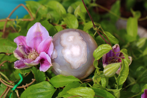 Flower Agate