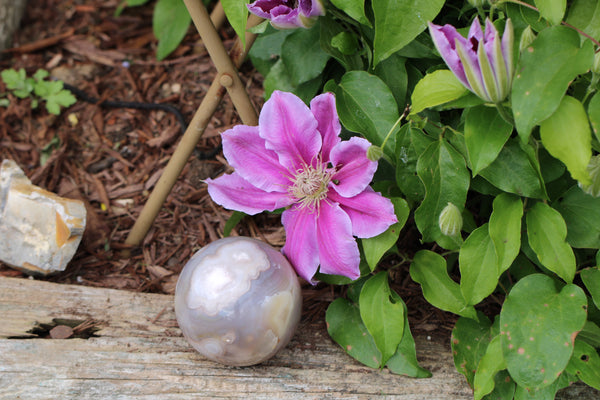 Flower Agate