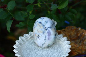 Dendritic Opal Agate