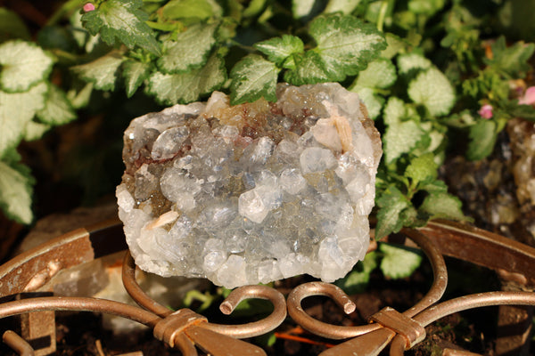 Apophyllite & Stilbite