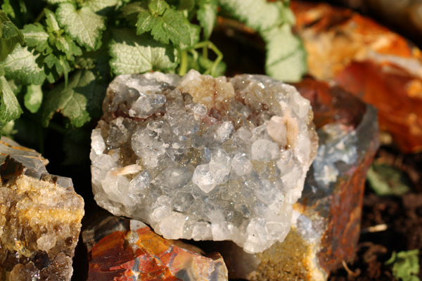 Apophyllite & Stilbite