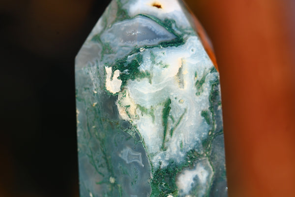 Tree Agate